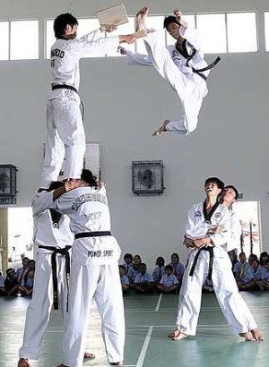 taekwondo12